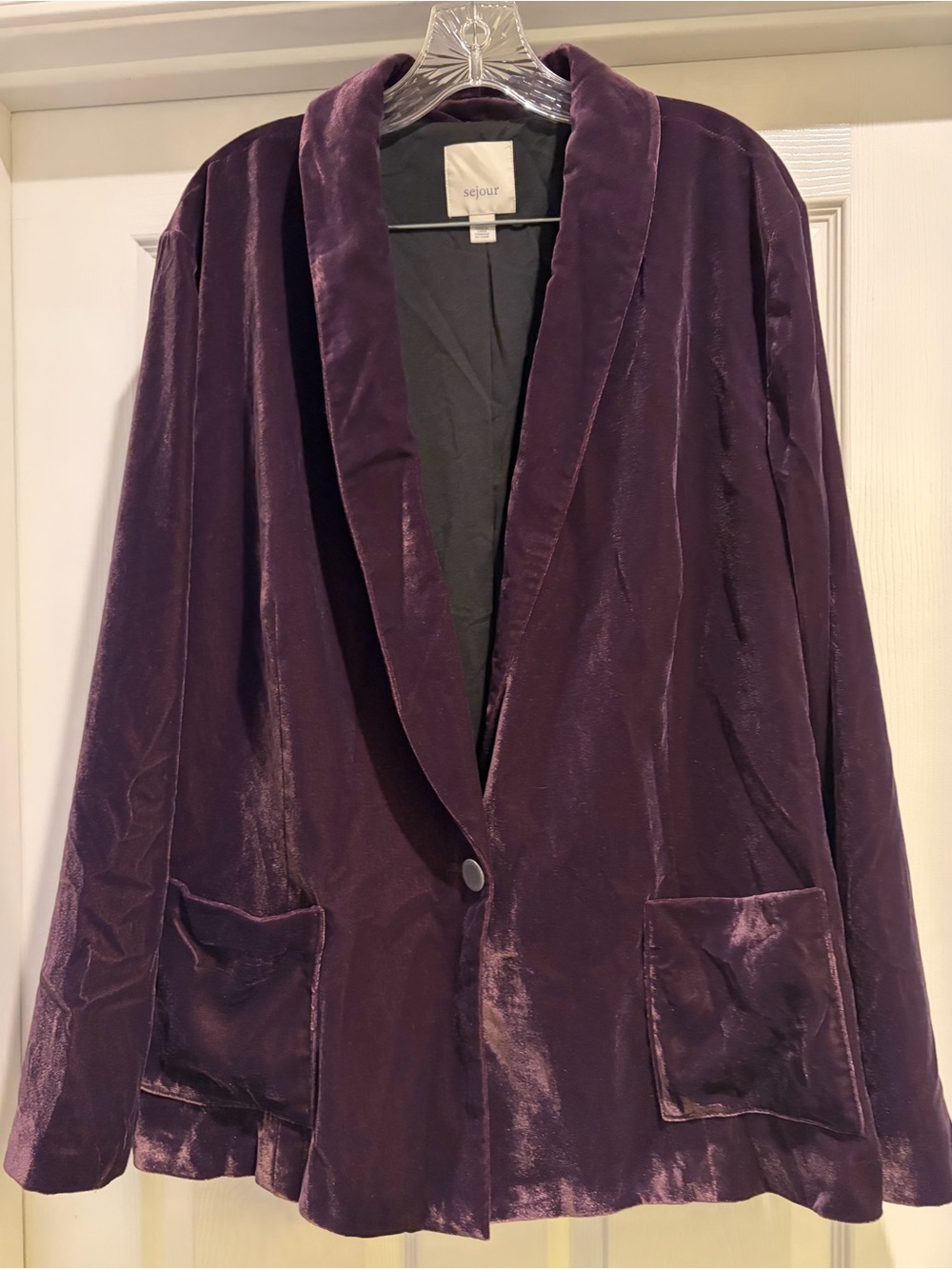 Sejour Velvet Blazer in Plum Size 20W